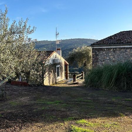 Casas Rurales Los Llanos Fuentes De Leon ภายนอก รูปภาพ