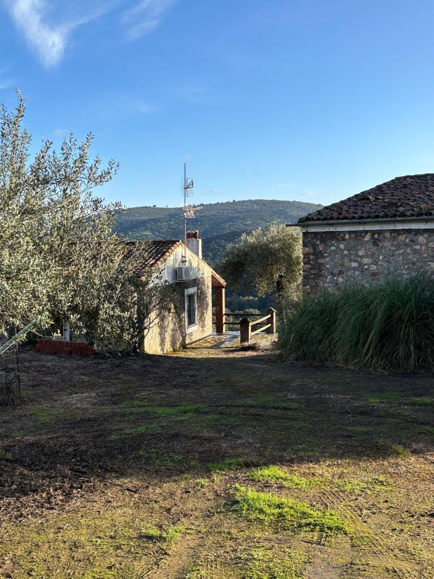 Casas Rurales Los Llanos Fuentes De Leon ภายนอก รูปภาพ