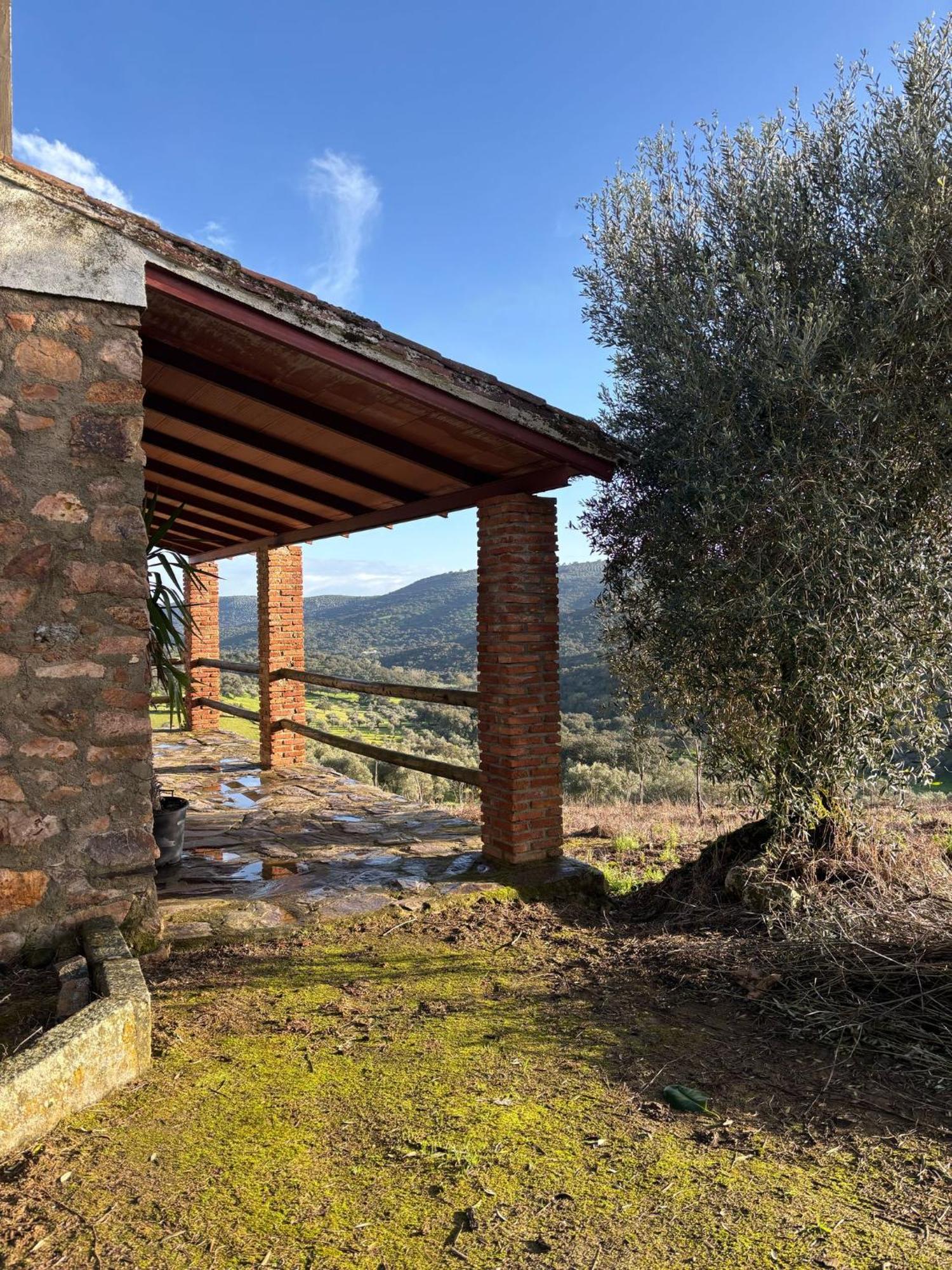 Casas Rurales Los Llanos Fuentes De Leon ภายนอก รูปภาพ