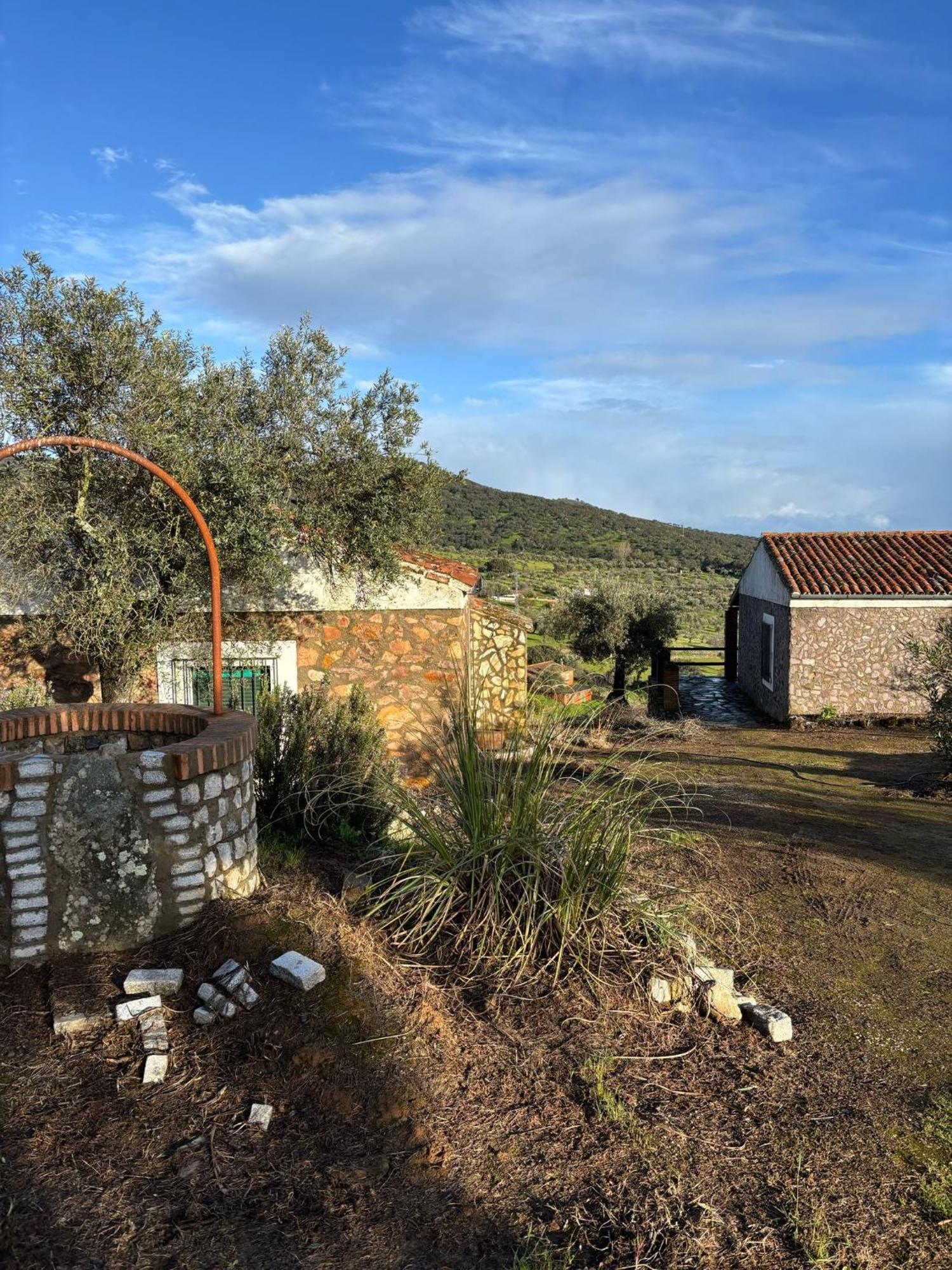 Casas Rurales Los Llanos Fuentes De Leon ภายนอก รูปภาพ