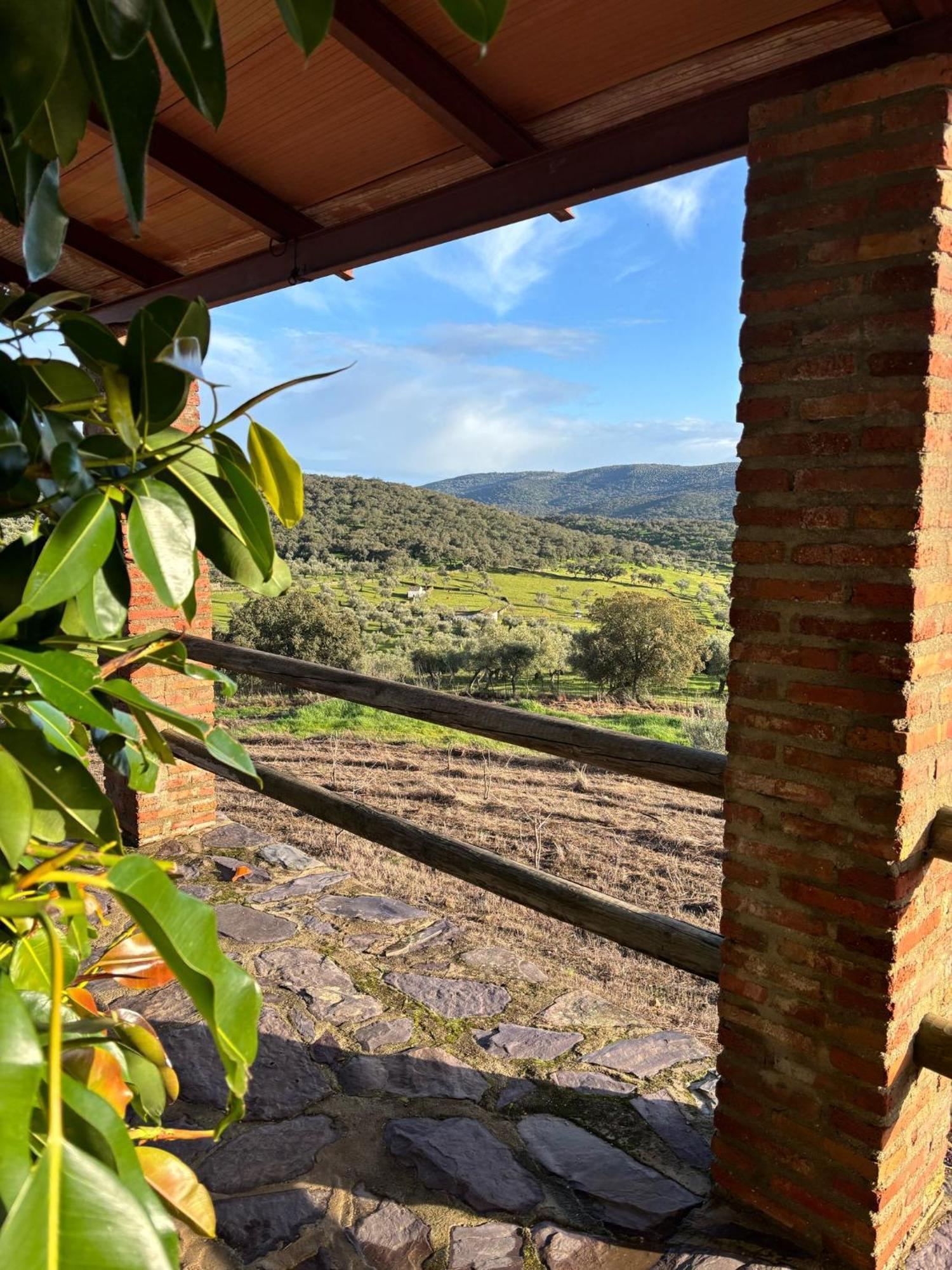 Casas Rurales Los Llanos Fuentes De Leon ภายนอก รูปภาพ