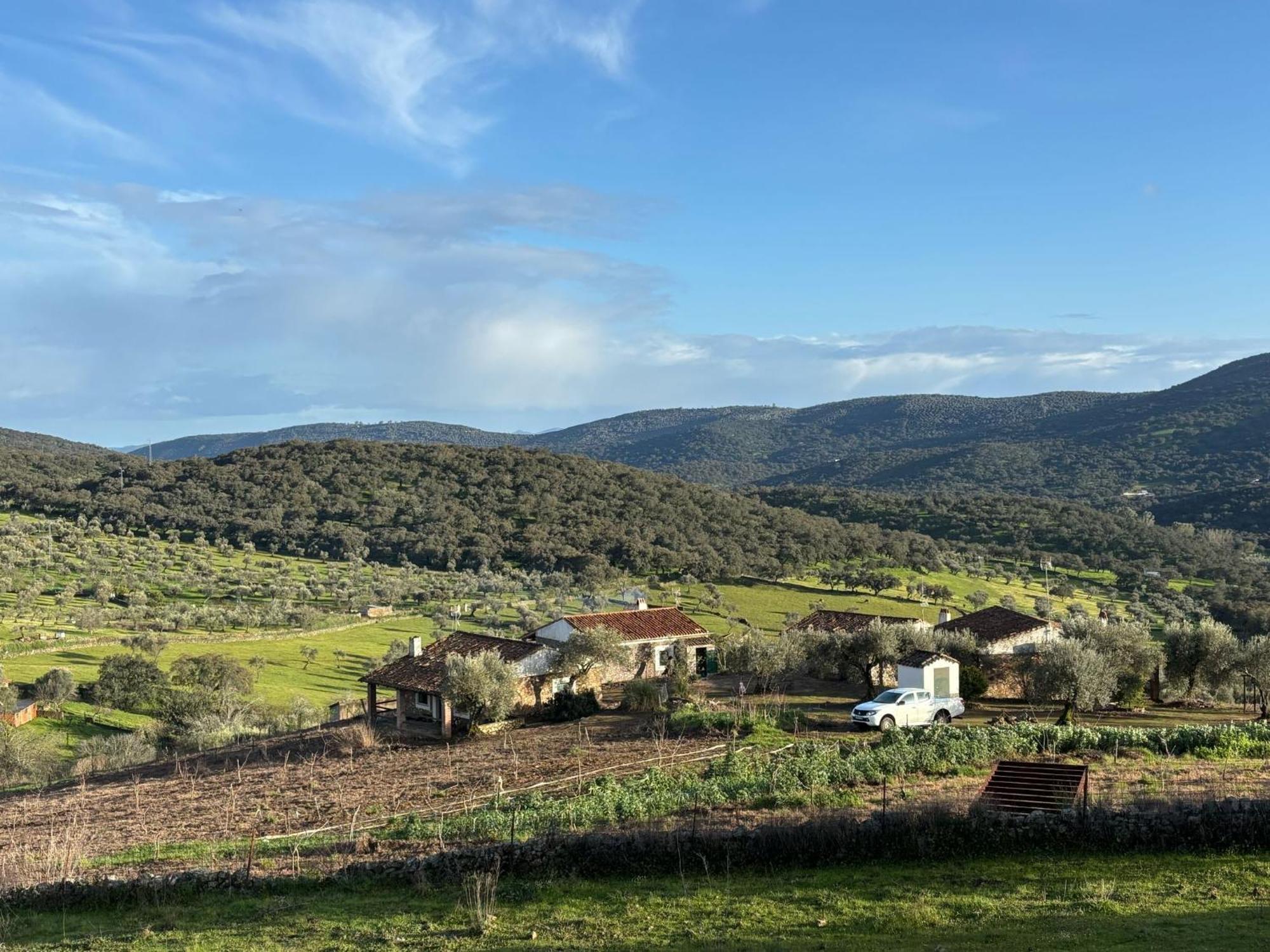 Casas Rurales Los Llanos Fuentes De Leon ภายนอก รูปภาพ